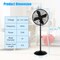 Metal Pedestal Fan 16 Inch Oscillating Adjustable Height 3 Speed